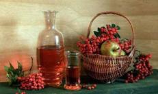 Вино из рябины красной в домашних условиях простой рецепт Вино из рябины яблок с водкой
