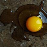 Польза или вред от сырых яиц для организма Полезно ли есть сырые яйца