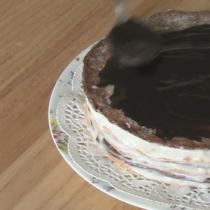 Шоколадный торт со сметанным кремом, рецепт Торт с какао и сметаной простой рецепт